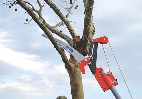Profissional realizando poda de árvore