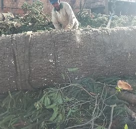 Terreno Bairro Funcionários - foto 1