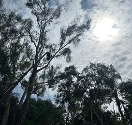 Residência Bairro Romã - foto 1