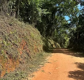 Prefeitura de Cipotânea - foto 2