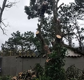 COPASA Tiradentes - foto 1