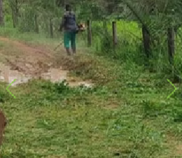 Prefeitura de Desterro do Melo - foto 2