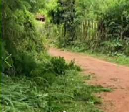 Prefeitura de Desterro do Melo - foto 3