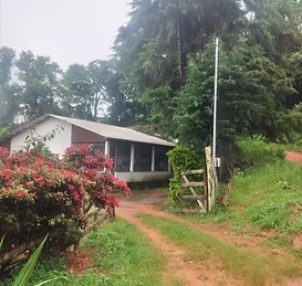Cipreste Bairro Santo Antônio - foto 3